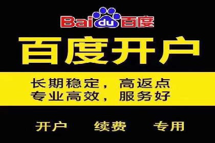成功案例：SEM竞价托管的策略与效果