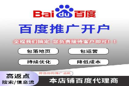 某电商平台的SEM优化案例分享